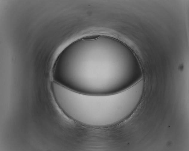 X0000093411520200710120905