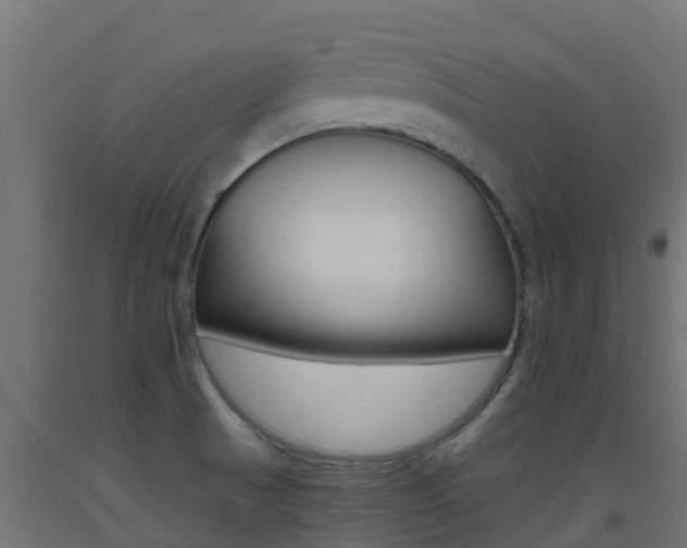 X0000093411521200710120905
