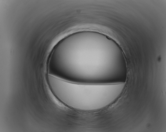 X0000093411523200710120905