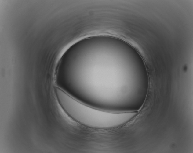 X0000093411524200710120905