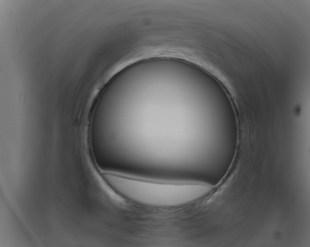 X0000093411525200710120905