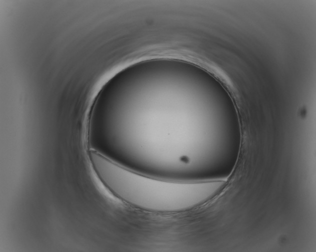 X0000093411528200710120905