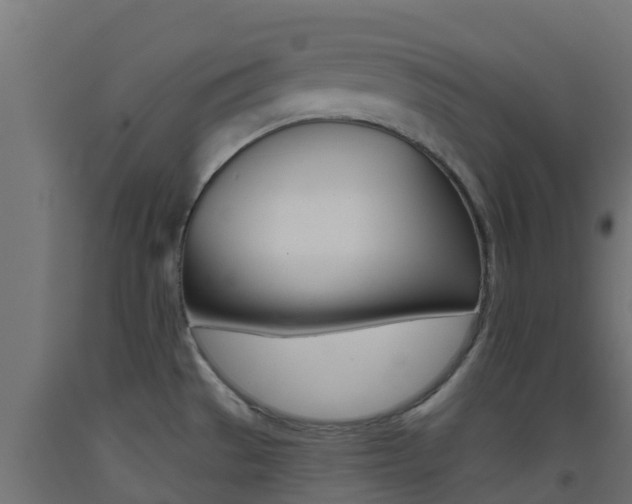 X0000093411529200710120905