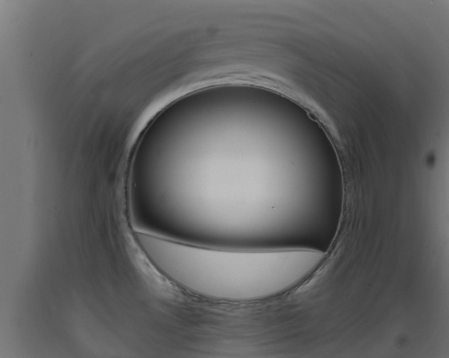 X0000093411530200710120905