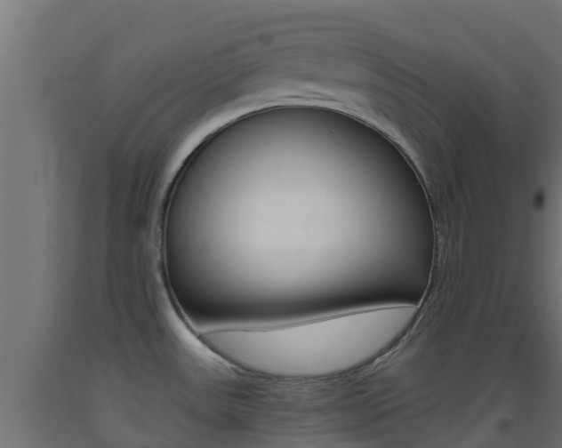 X0000093411531200710120905