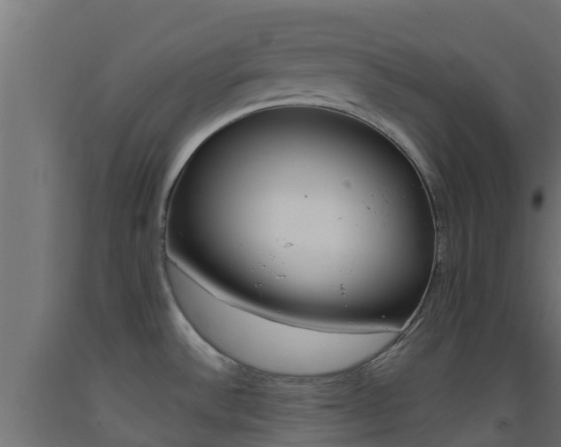 X0000093411532200710120905