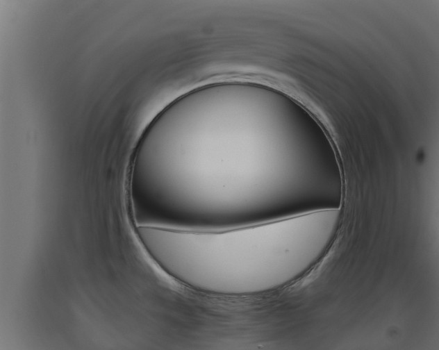 X0000093411533200710120906