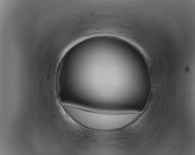 X0000093411534200710120906