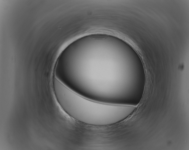 X0000093411536200710120906