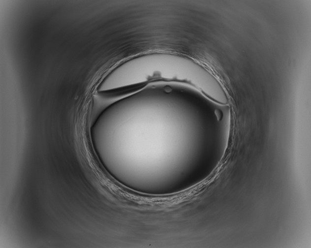 X0000093410001200710121126