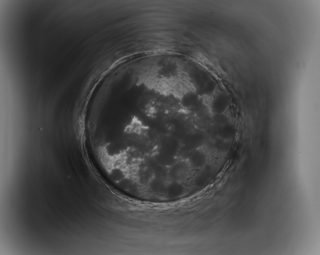 X0000093410002200710121126