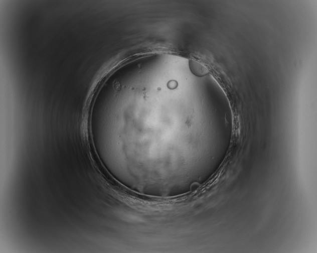 X0000093410004200710121126