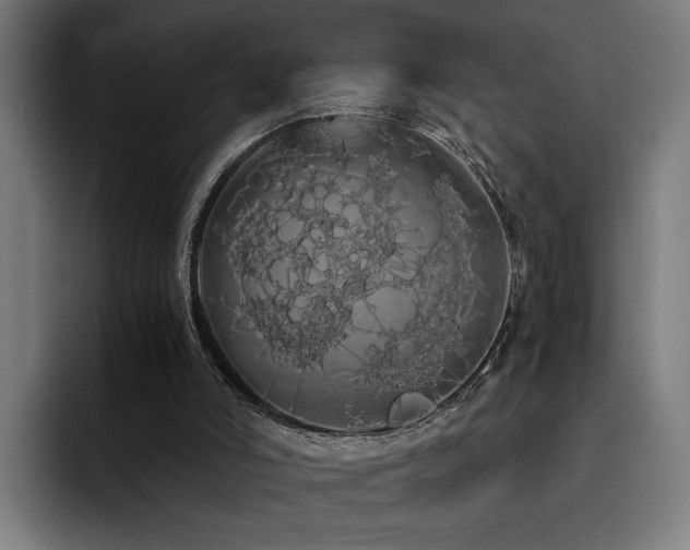 X0000093410006200710121126