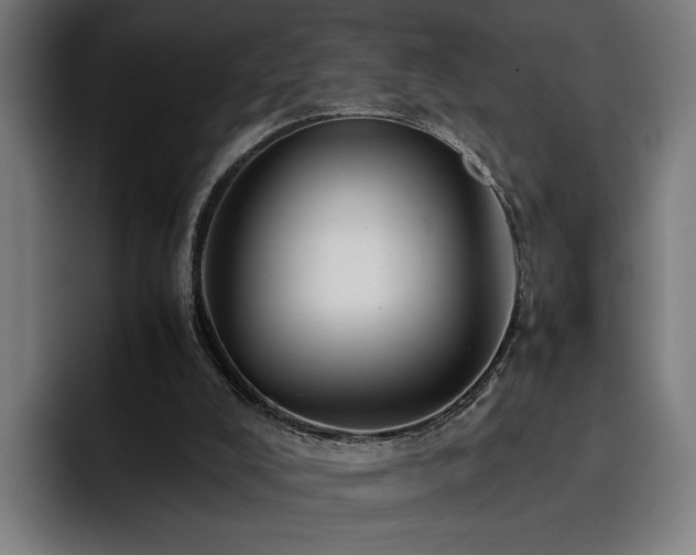 X0000093410008200710121126