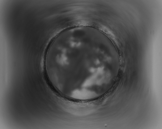 X0000093410012200710121126