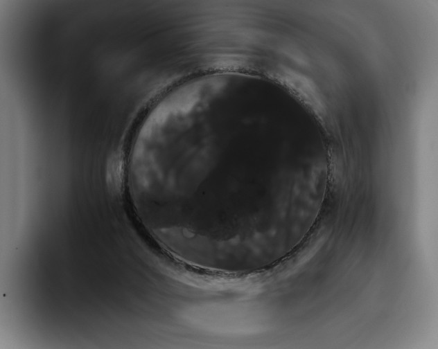 X0000093410016200710121126