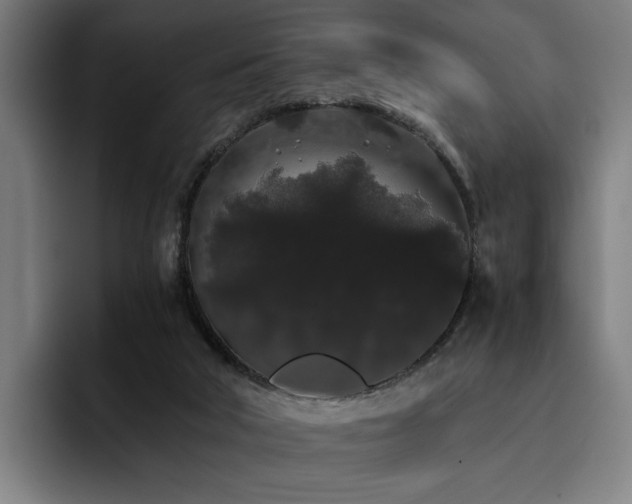 X0000093410018200710121126