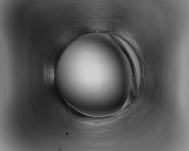 X0000093410021200710121126