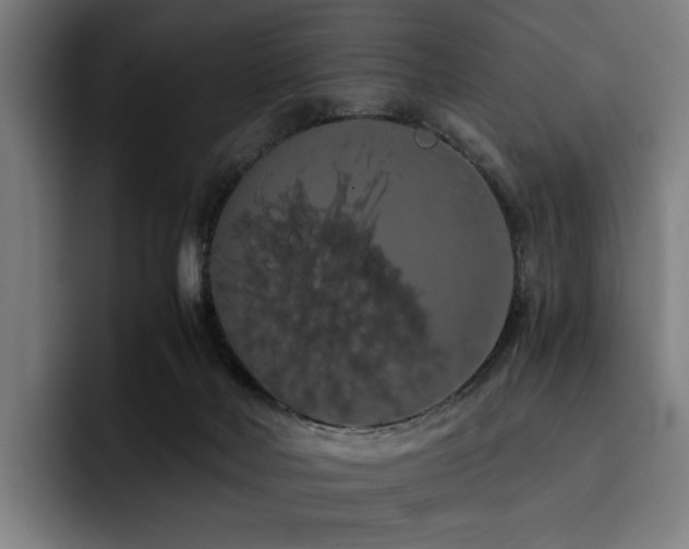 X0000093410026200710121126