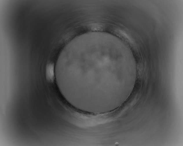 X0000093410028200710121126