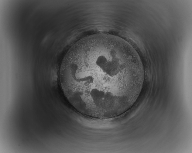 X0000093410032200710121125