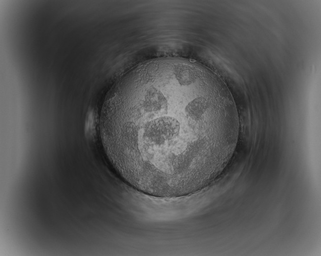 X0000093410038200710121125