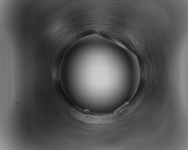 X0000093410044200710121125