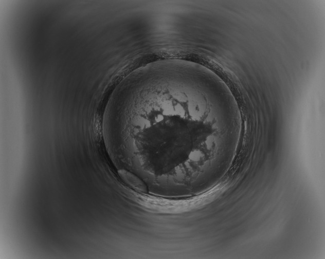 X0000093410048200710121125