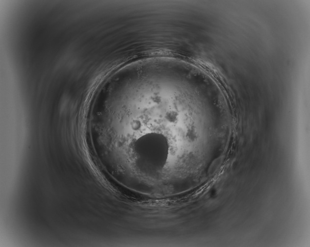 X0000093410049200710121125