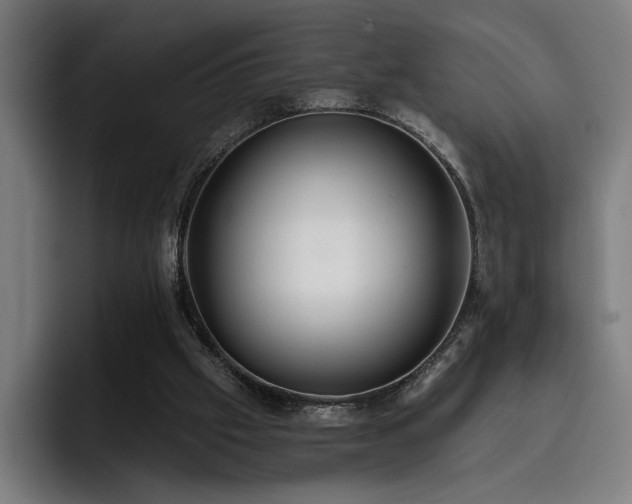 X0000093410057200710121125