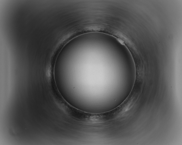 X0000093410064200710121125