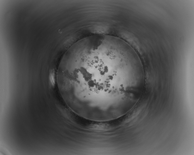 X0000093410069200710121125