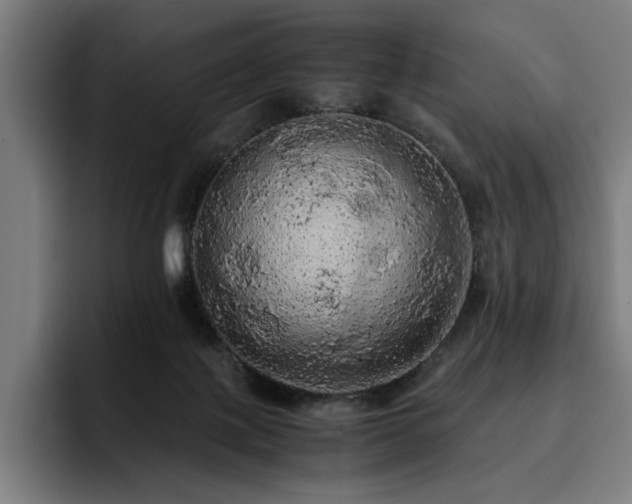 X0000093410075200710121125