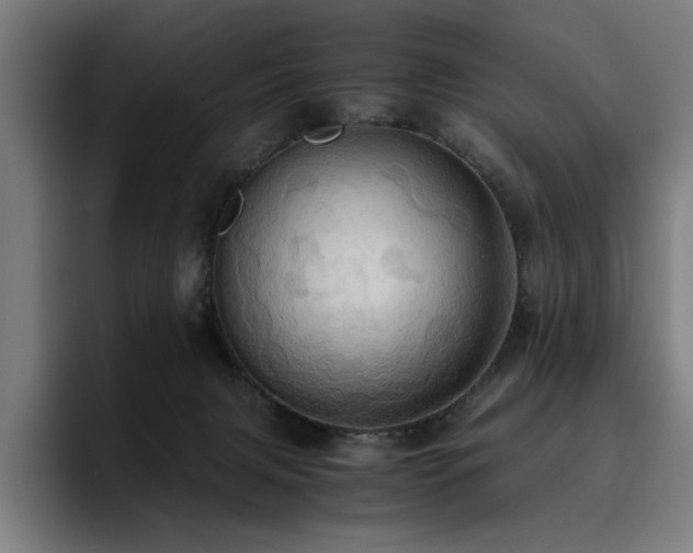 X0000093410079200710121125