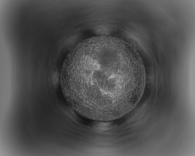 X0000093410081200710121125