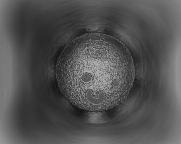 X0000093410085200710121125