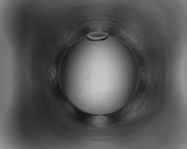 X0000093410087200710121125