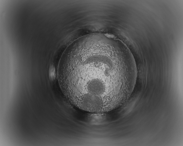 X0000093410089200710121125