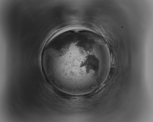 X0000093410099200710121125