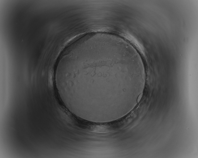 X0000093410107200710121125