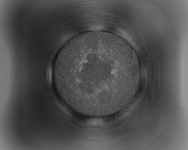 X0000093410110200710121125