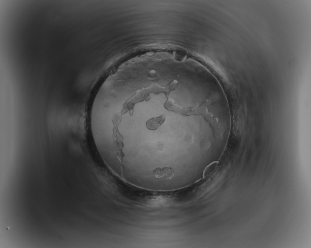 X0000093410111200710121125