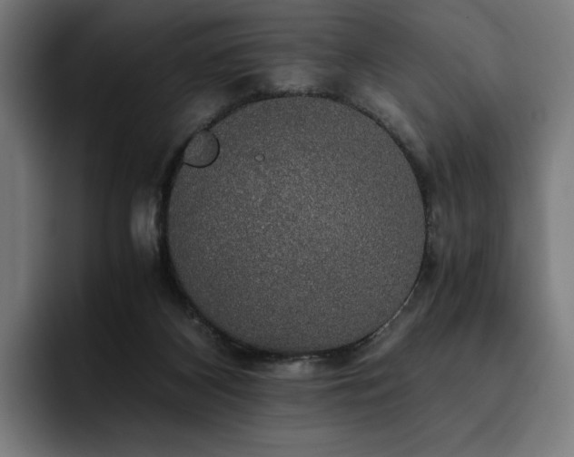 X0000093410116200710121125