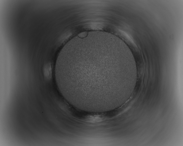 X0000093410120200710121124