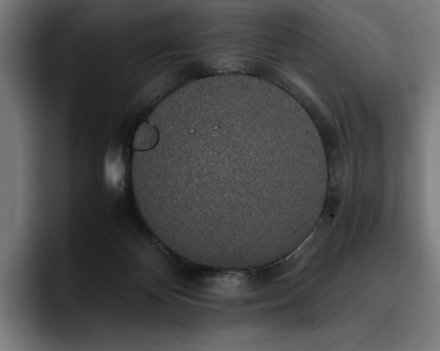 X0000093410124200710121124