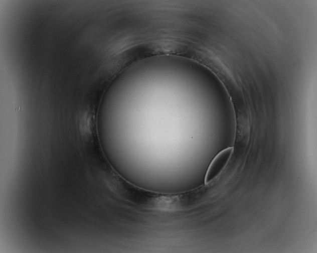 X0000093410126200710121124