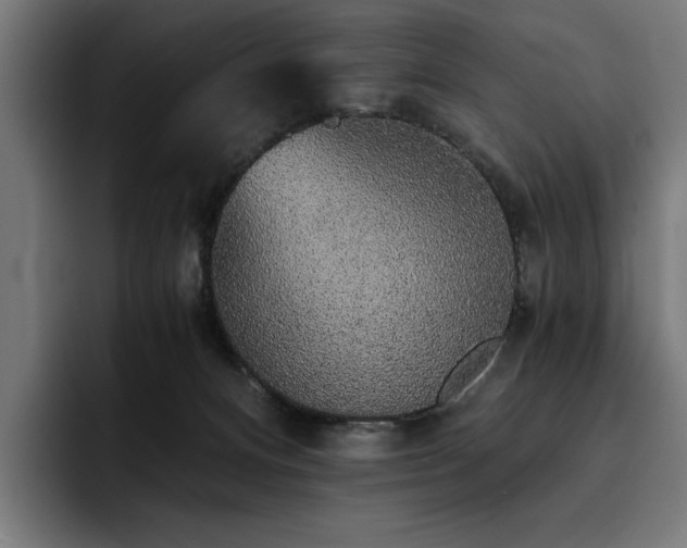 X0000093410128200710121124