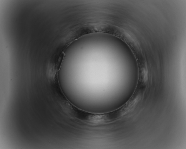 X0000093410129200710121124