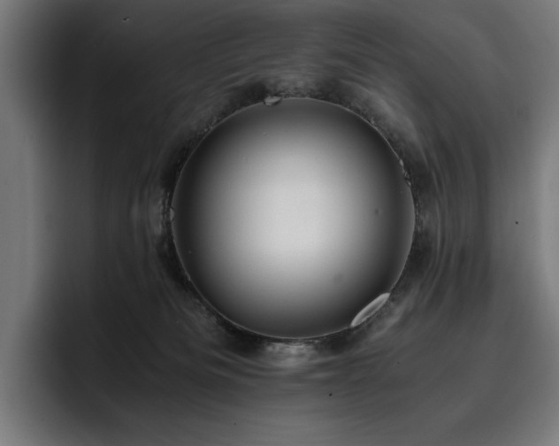 X0000093410133200710121124