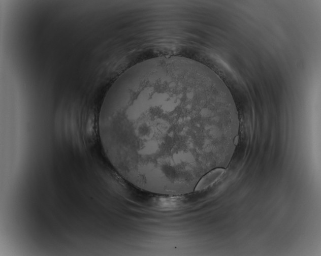 X0000093410134200710121124